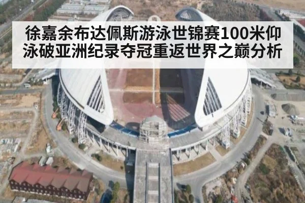 徐嘉余布达佩斯游泳世锦赛100米仰泳破亚洲纪录夺冠重返世界之巅分析