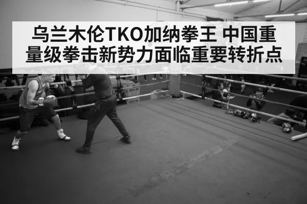 boxer training gym