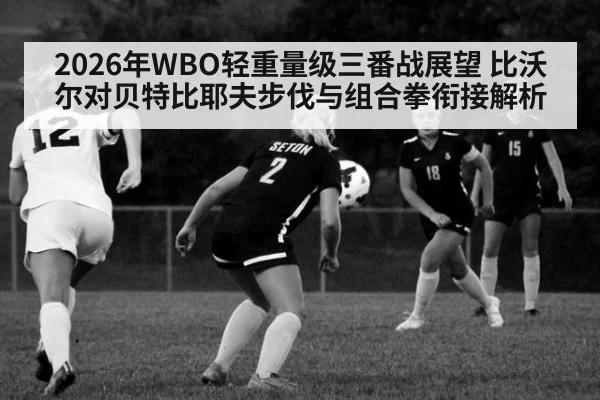 2026年WBO轻重量级三番战展望 比沃尔对贝特比耶夫步伐与组合拳衔接解析